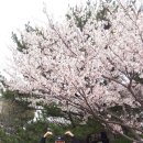 갈맷길(4-1구간) 이미지