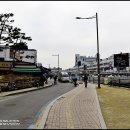수원-0082 티스토리