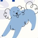 케이마이스 이미지