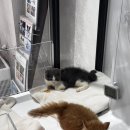 아임598 네이버블로그