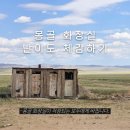 도로변(도림로 5) | 몽골 화장실 완전정복ㅣ도시에서 오지까지, 난이도 4단계 체험 후기!