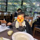 용화어린이집 | 이상하고 신비로운 맛집 장호용화관광랜드