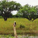 팀승전보 이미지