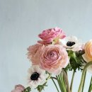 보테니컬 이미지