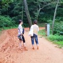 영광 물무산 행복숲 질퍽질퍽맨발 황톳길을 걷다. 이미지