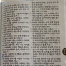 사론의 꽃