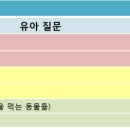 19-06호) 다양한 선인장~ 환경에 따라 점점 변해가요! 이미지