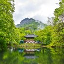 장성상회 이미지