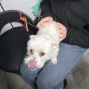 시헌농장 | [일상모음] 2026년 1월