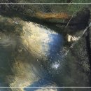 친환경 / 靑山 손병흥 이미지