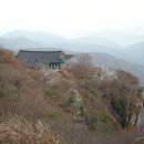 순천-74호 티스토리