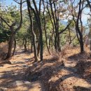 신선동-12 이미지