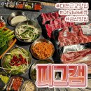 피그캠 이미지