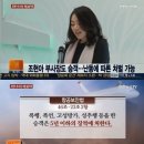 사과에도 조현아 논란이 거세지는 이유 (바람부는언덕) 이미지