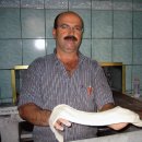 하맘(HAMAM) 이미지