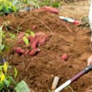 공북2리경로당 이미지