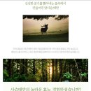에이스원 이미지