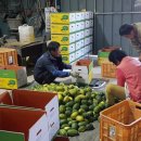 들길농장2 이미지