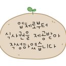 싸다소