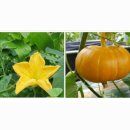 선행과심화수학교습소 이미지