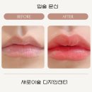 립모텔(Lip모텔) | 입술 문신 후 '입술 각질'처럼 지저분해 보인다면? 실패 없는 립 틴트 반영구의 비밀