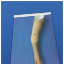 동양재활보조기 이미지