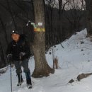 노루메기 이미지