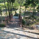 비학산자연휴양림 이미지