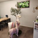 제주흑돈카츠 이미지