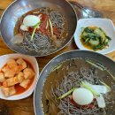 포천 광릉수목원 근처 맛집 수한막국수 현지인추천