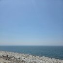 엘림부동산컨설팅