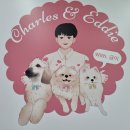 찰스앤에디 | 화성 새솔동 외부와 내부 인테리어가 예쁜 애견카페 찰스앤에디 방문후기, 주차 꿀팁