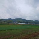 학리천 티스토리