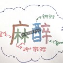 알쏠 네이버블로그