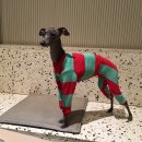 하운드펫 이미지