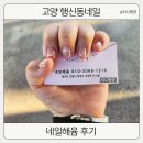 고양 행신동 네일 네일해윰 후기
