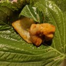 경기도 수원시 팔달구 매산로 이미지