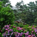 행복연장전 이미지