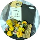 블룸스앤드 이미지