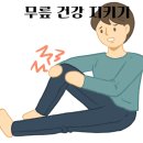 무릎 관절 건강 지키기, 영양제 추천 이미지