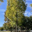 사선대농장 이미지