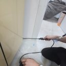 대구방역업체 [쏘케어] 아이있는 집도 맘편하게 대만족
