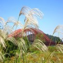 가을노을C 이미지