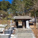 효심약국 | 원주 설경이 장관인 한옥숲카페 따뜻한 쌍화차와 함께 눈오는 날 겨울 꼭 가봐야할 피노키오숲 카페