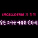 인셀덤 하늘을품다