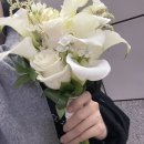 순, 컬러룸