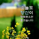 그대는 나의 인생 / 정미애 &amp; 조성환 이미지