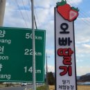 오빠딸기
