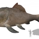 진안흑염소 농장 이미지