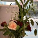 상수오아시스약국 이미지